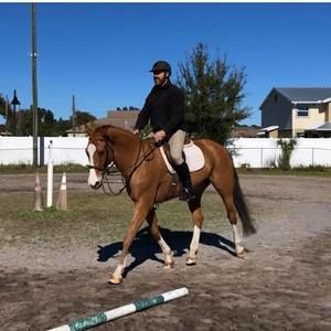 Meet your Posher, Clarence